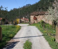 Restaurante Mas Les Feixes Gerona