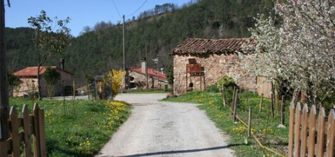 Entrada al blog