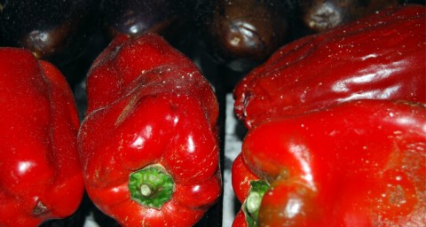 Pimientos Mas Les Feixes